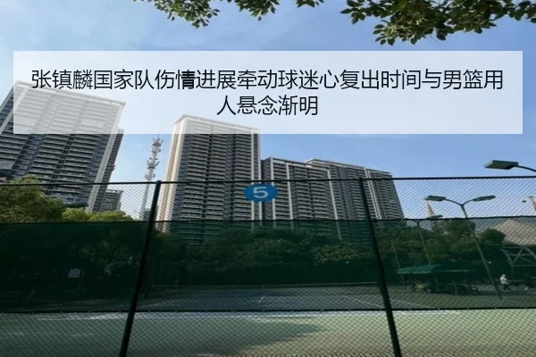 张镇麟国家队伤情进展牵动球迷心复出时间与男篮用人悬念渐明